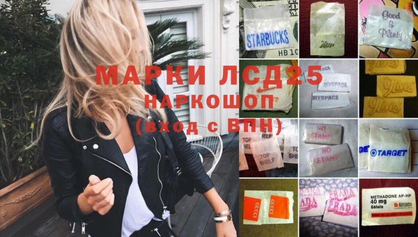 гашик Аркадак