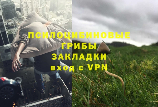 гидропоника Армянск