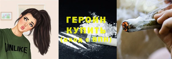 гашик Аркадак