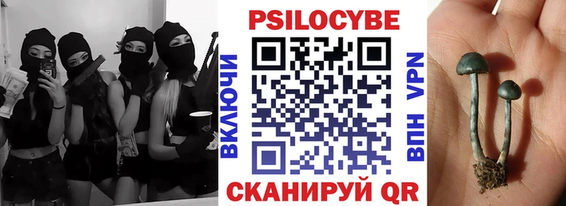 даркнет сайт  Ревда  Псилоцибиновые грибы MAGIC MUSHROOMS 