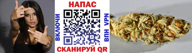 Шишки марихуана Bruce Banner Ревда